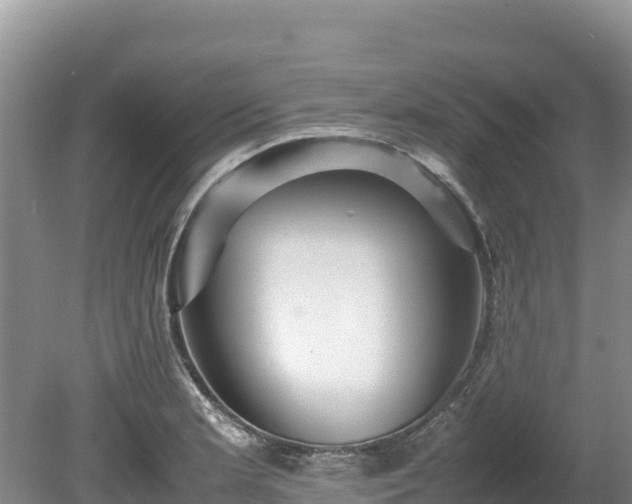 X0000080681181200612221135