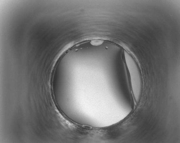 X0000080681189200612221135