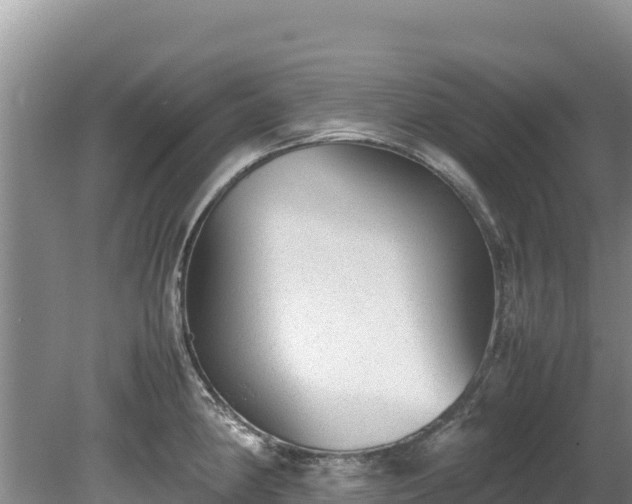 X0000080681190200612221135