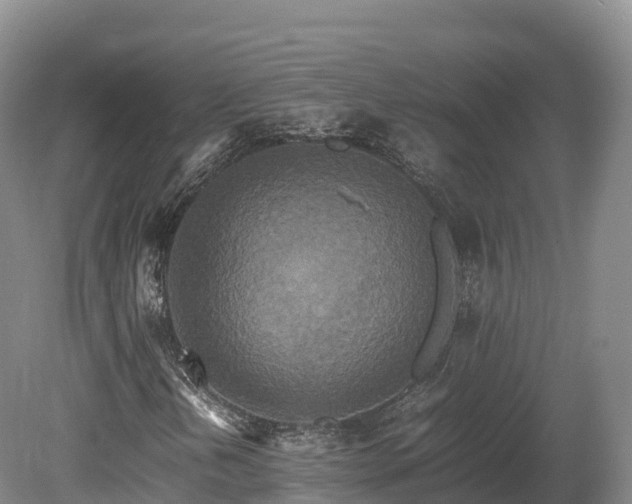 X0000080681202200612221134