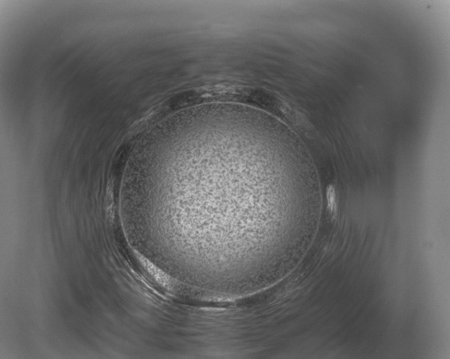 X0000080681203200612221134