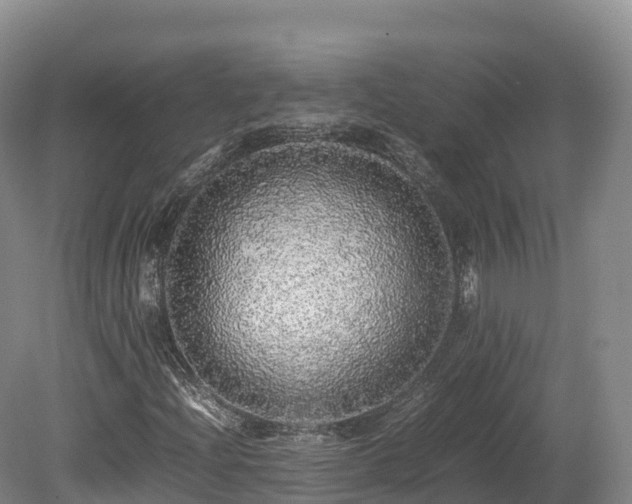 X0000080681204200612221134
