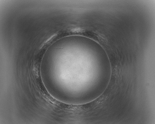 X0000080681205200612221134
