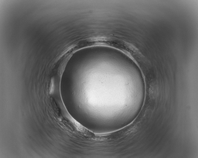 X0000080681209200612221134