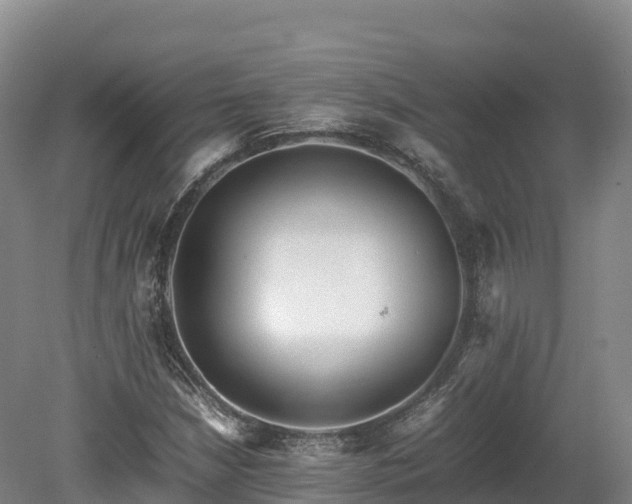 X0000080681210200612221134