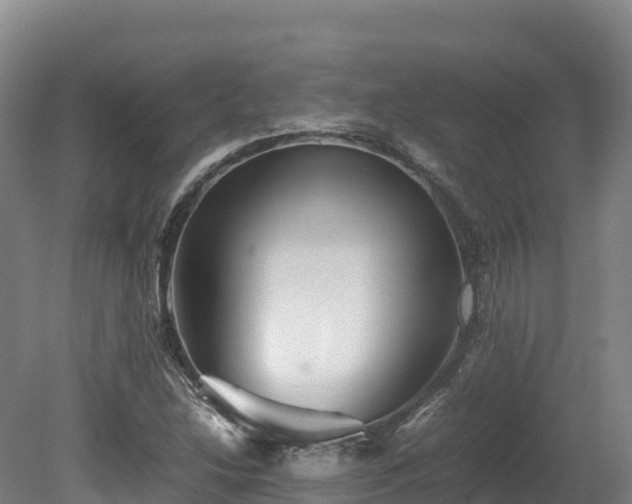 X0000080681214200612221134