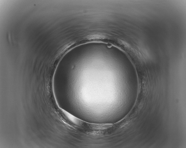 X0000080681217200612221134