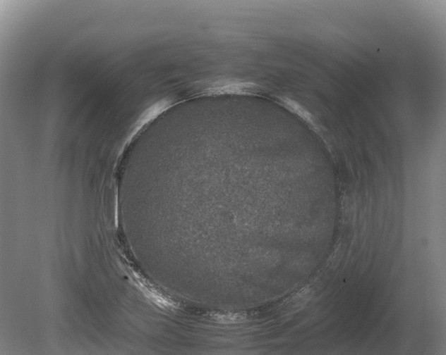 X0000080681219200612221134