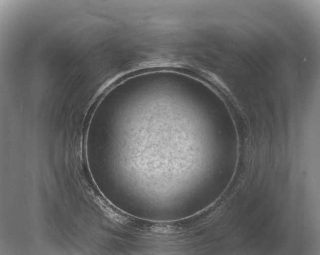 X0000080681220200612221134