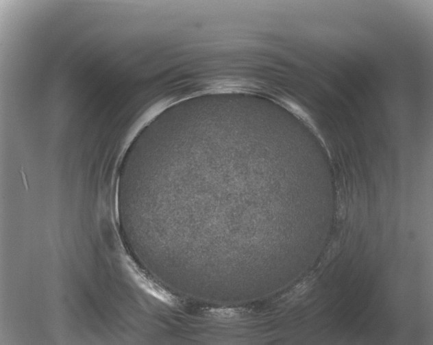 X0000080681227200612221134