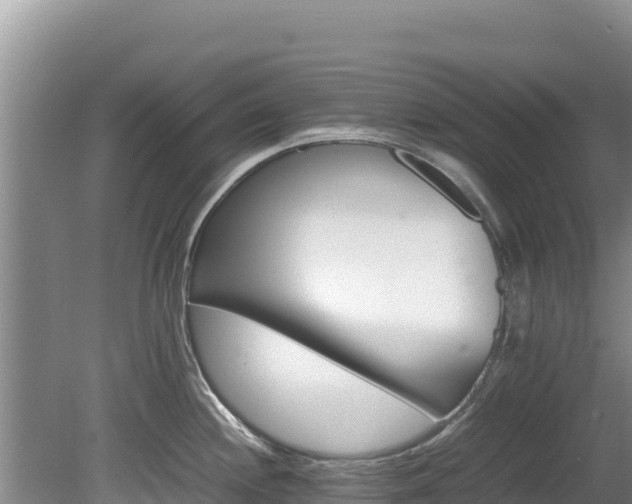 X0000080681244200612221134