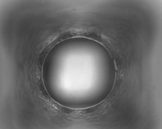 X0000080681253200612221133
