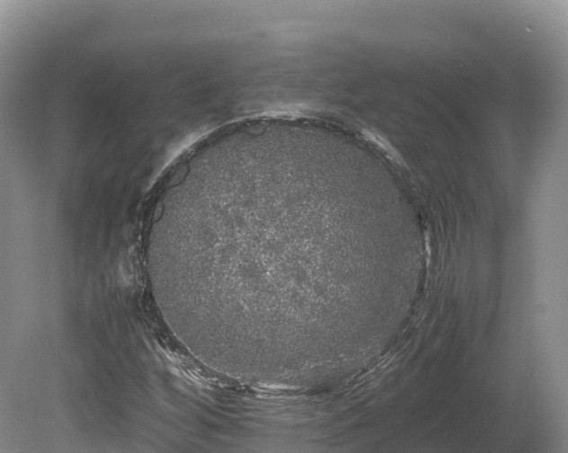 X0000080681256200612221133