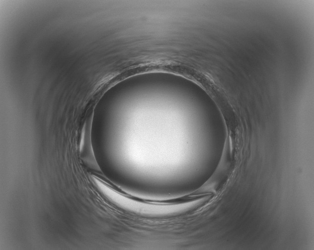 X0000080681257200612221133