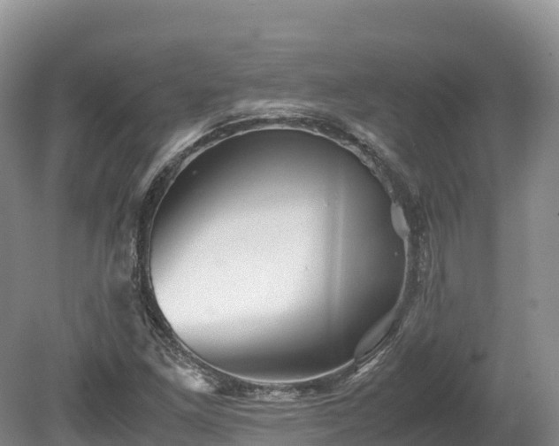 X0000080681261200612221133