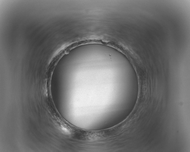 X0000080681262200612221133