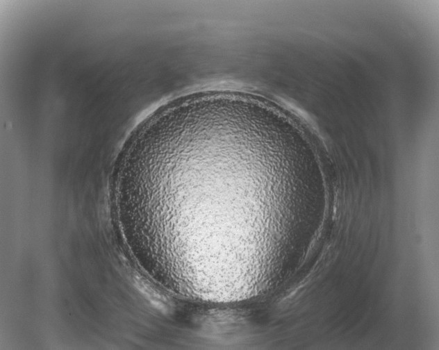 X0000080681264200612221133