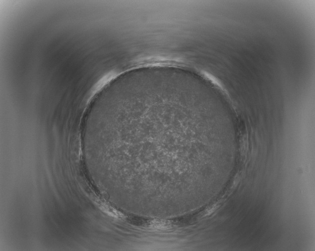 X0000080681267200612221133