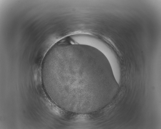 X0000080681268200612221133