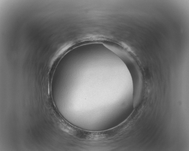 X0000080681269200612221133