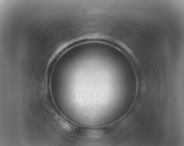 X0000080681270200612221133