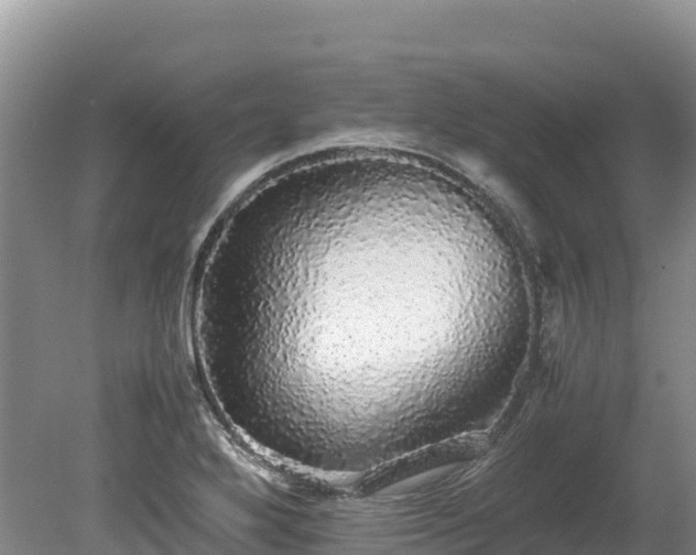 X0000080681272200612221133