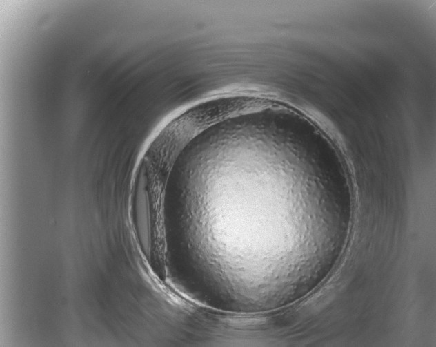 X0000080681296200612221133
