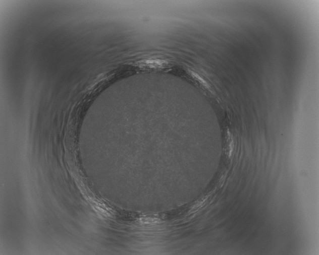 X0000080681297200612221132