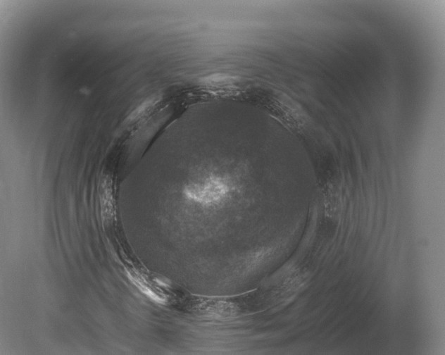 X0000080681298200612221132