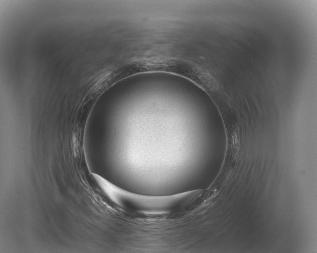 X0000080681300200612221132