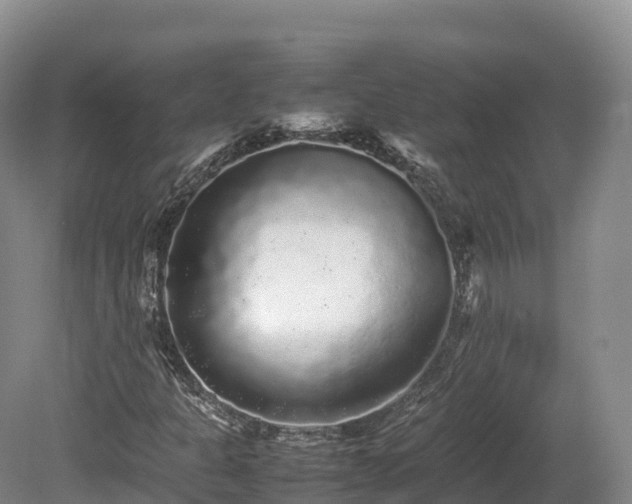 X0000080681301200612221132