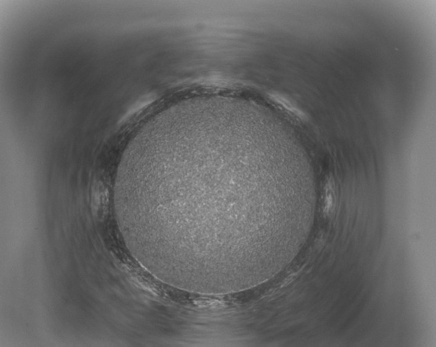 X0000080681302200612221132