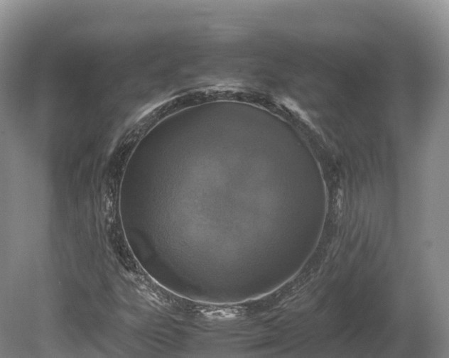 X0000080681303200612221132