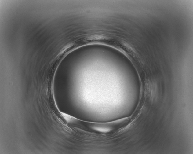 X0000080681305200612221132