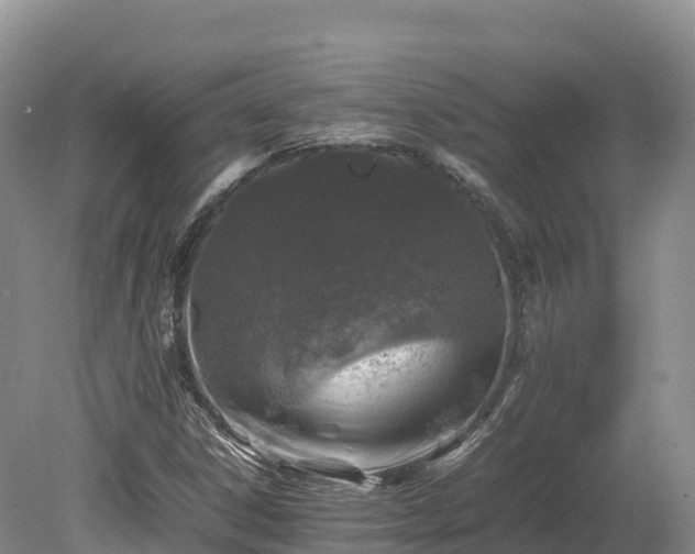 X0000080681306200612221132