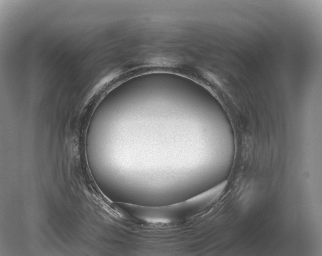 X0000080681307200612221132