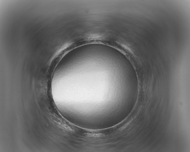X0000080681309200612221132
