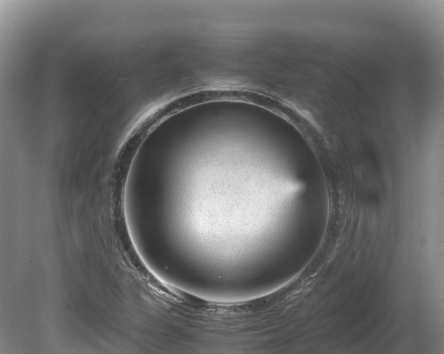 X0000080681311200612221132