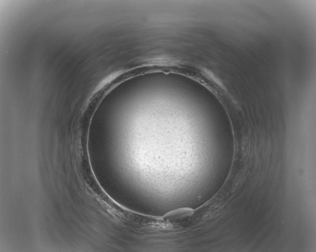 X0000080681315200612221132
