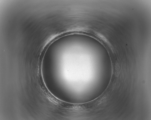 X0000080681316200612221132