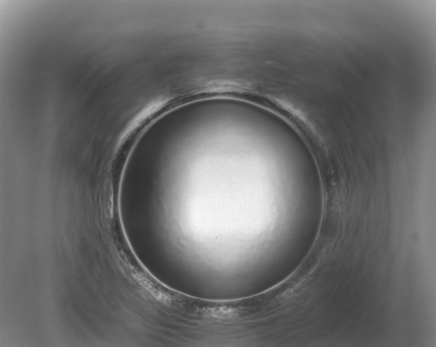 X0000080681317200612221132