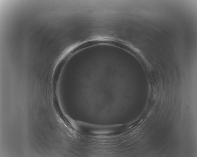 X0000080681319200612221132