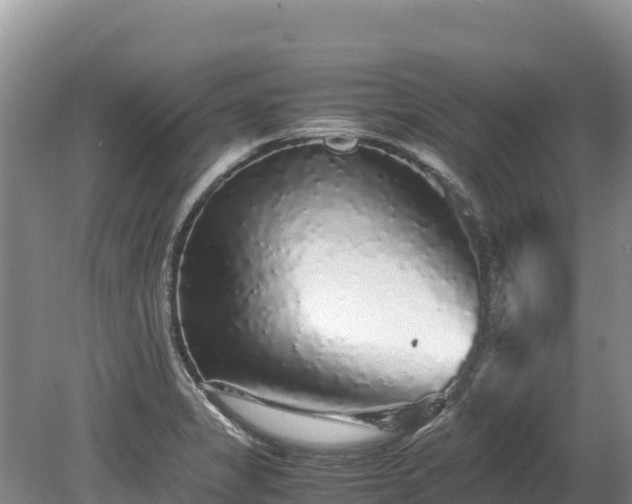 X0000080681325200612221132