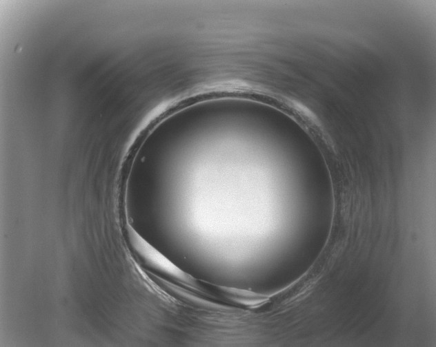X0000080681326200612221132