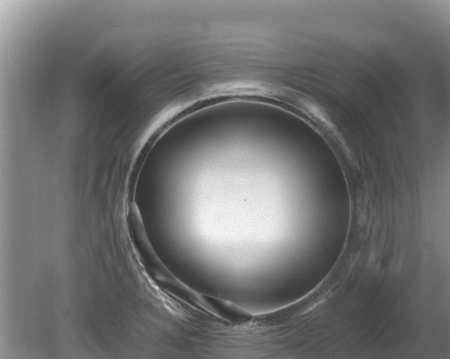 X0000080681328200612221132