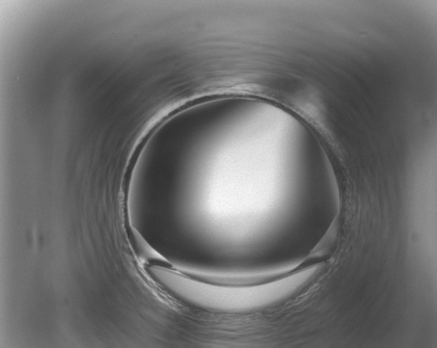 X0000080681332200612221133