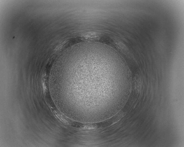 X0000080681346200612221132