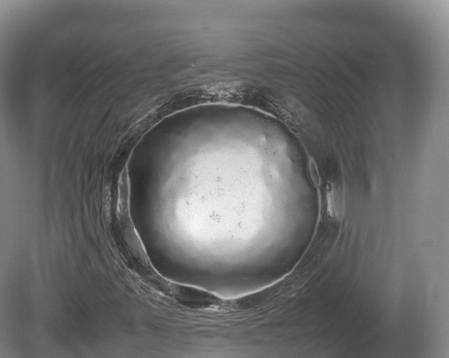 X0000080681347200612221132