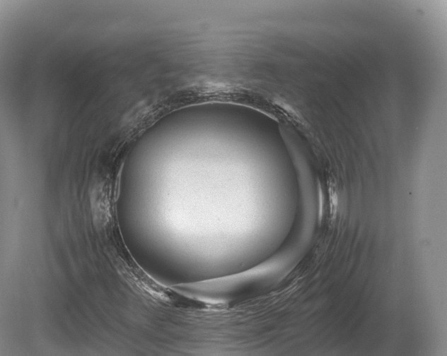 X0000080681348200612221132