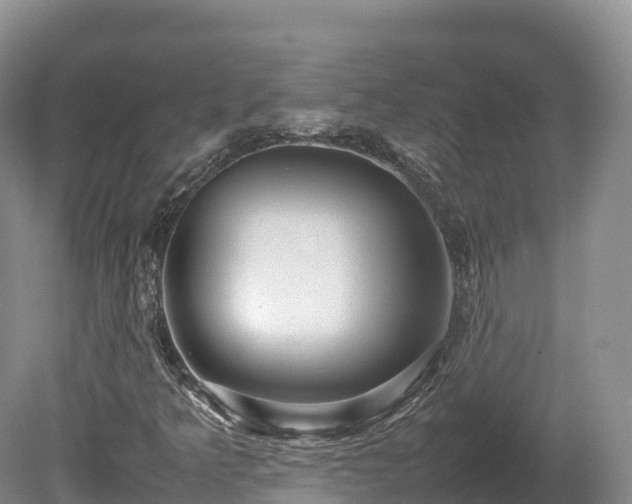 X0000080681349200612221132